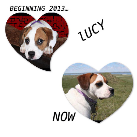 Lucy