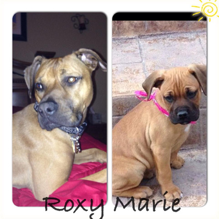 Roxy